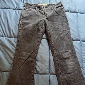 Ann Taylor Loft Relaxed Boot Cut Corduroy Size 6 Petite